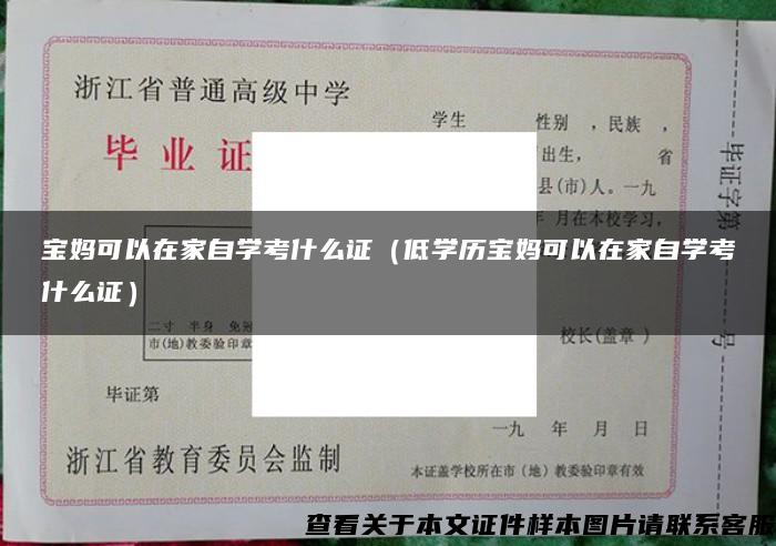 宝妈可以在家自学考什么证（低学历宝妈可以在家自学考什么证）