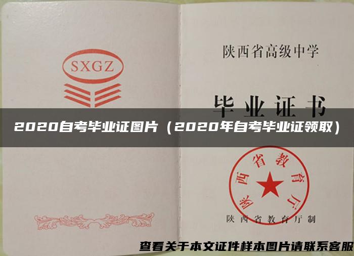 2020自考毕业证图片（2020年自考毕业证领取）