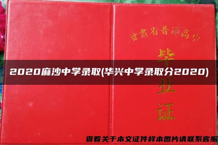 2020麻沙中学录取(华兴中学录取分2020)