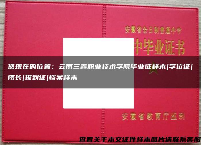 您现在的位置：云南三鑫职业技术学院毕业证样本|学位证|院长|报到证|档案样本