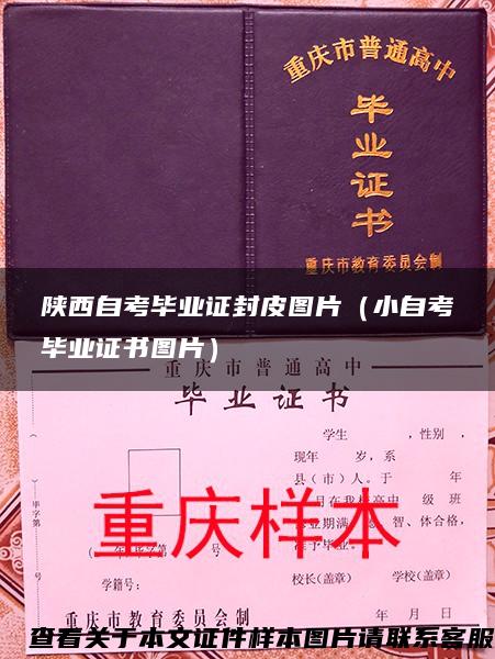 陕西自考毕业证封皮图片（小自考毕业证书图片）