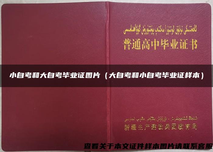 小自考和大自考毕业证图片（大自考和小自考毕业证样本）