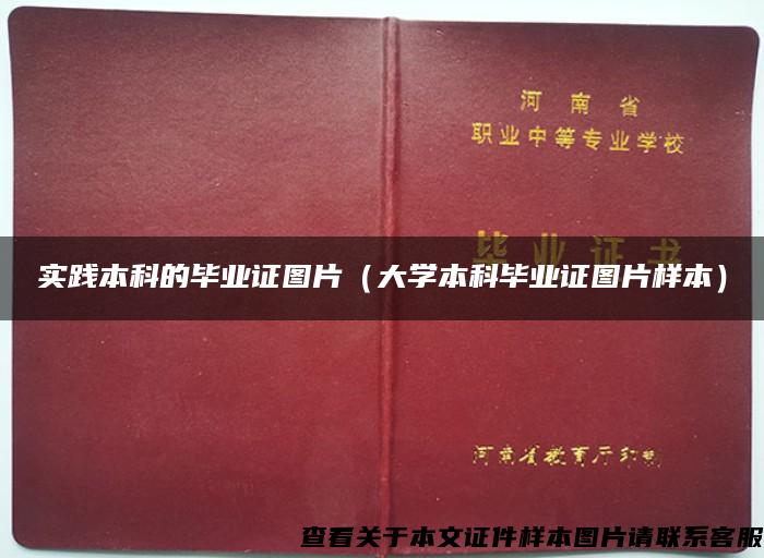 实践本科的毕业证图片（大学本科毕业证图片样本）