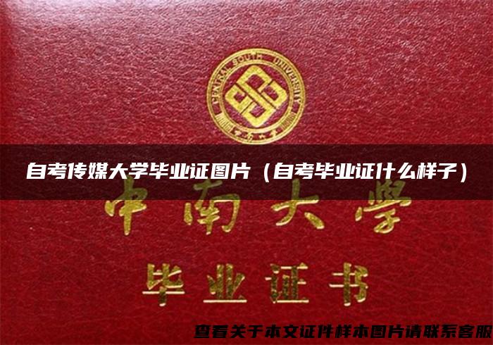 自考传媒大学毕业证图片（自考毕业证什么样子）