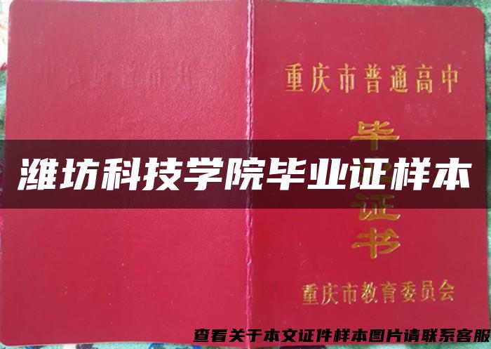 潍坊科技学院毕业证样本