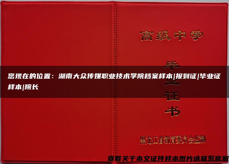 您现在的位置：湖南大众传媒职业技术学院档案样本|报到证|毕业证样本|院长