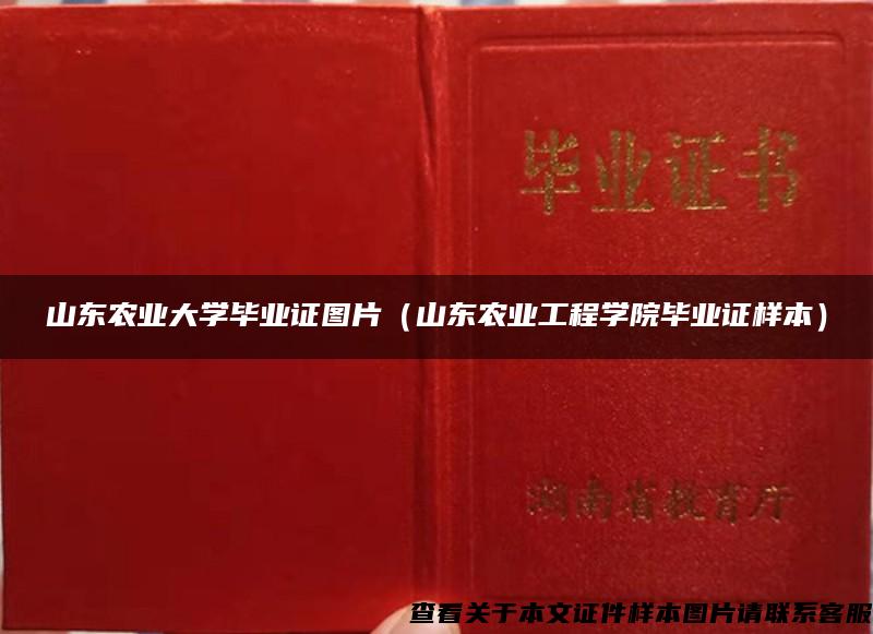 山东农业大学毕业证图片（山东农业工程学院毕业证样本）