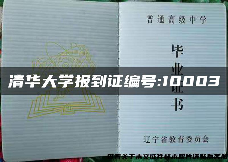 清华大学报到证编号:10003