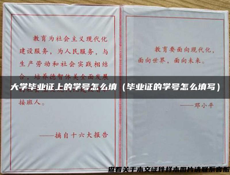 大学毕业证上的学号怎么填（毕业证的学号怎么填写）