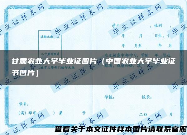 甘肃农业大学毕业证图片（中国农业大学毕业证书图片）