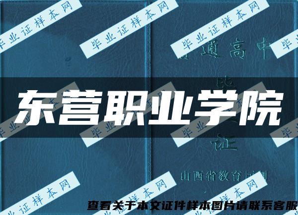 东营职业学院