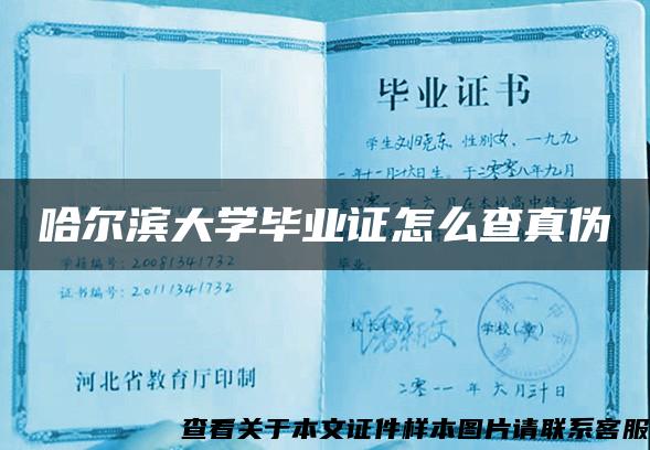 哈尔滨大学毕业证怎么查真伪