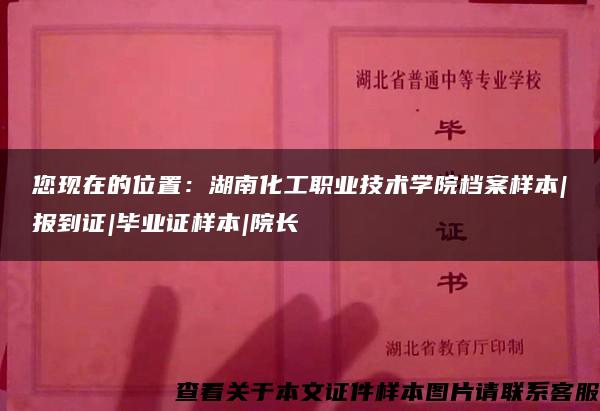 您现在的位置：湖南化工职业技术学院档案样本|报到证|毕业证样本|院长