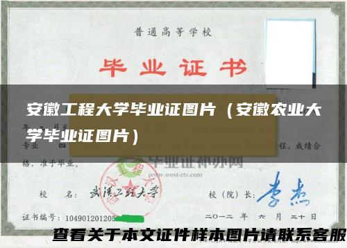 安徽工程大学毕业证图片（安徽农业大学毕业证图片）