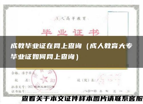 成教毕业证在网上查询（成人教育大专毕业证如何网上查询）