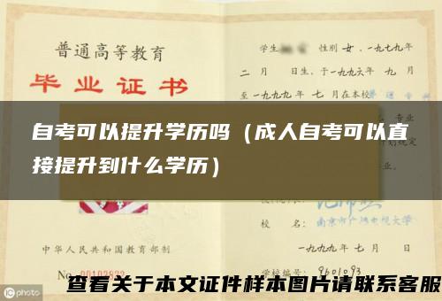 自考可以提升学历吗（成人自考可以直接提升到什么学历）