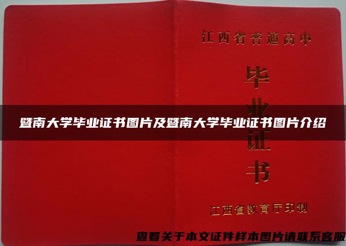 暨南大学毕业证书图片及暨南大学毕业证书图片介绍