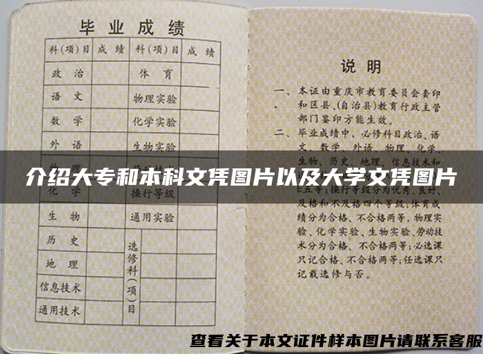 介绍大专和本科文凭图片以及大学文凭图片