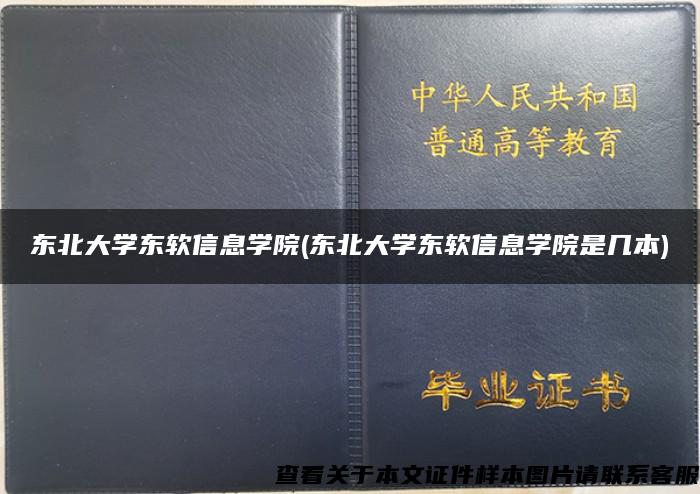 东北大学东软信息学院(东北大学东软信息学院是几本)