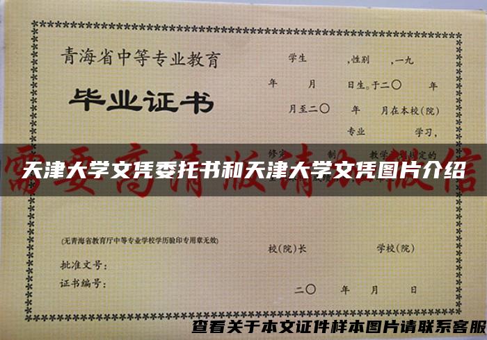 天津大学文凭委托书和天津大学文凭图片介绍