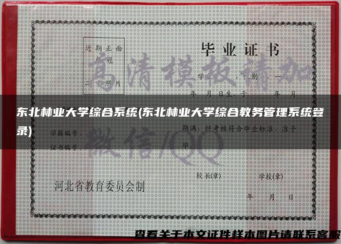 东北林业大学综合系统(东北林业大学综合教务管理系统登录)