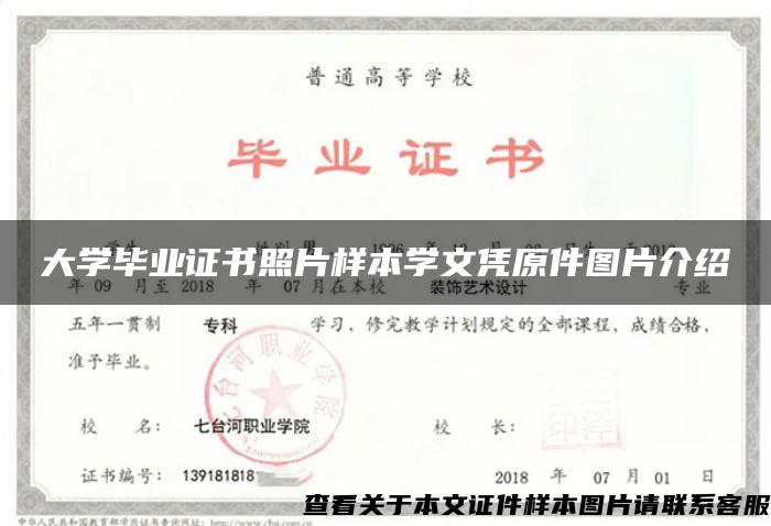 大学毕业证书照片样本学文凭原件图片介绍