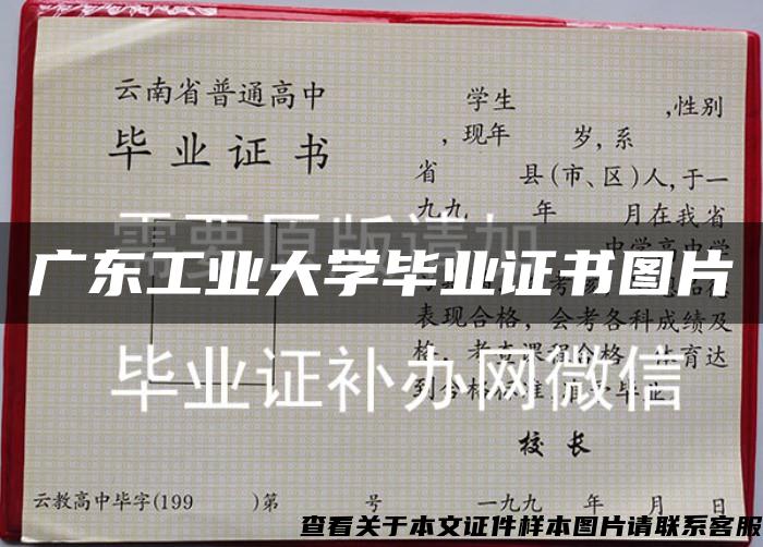 广东工业大学毕业证书图片