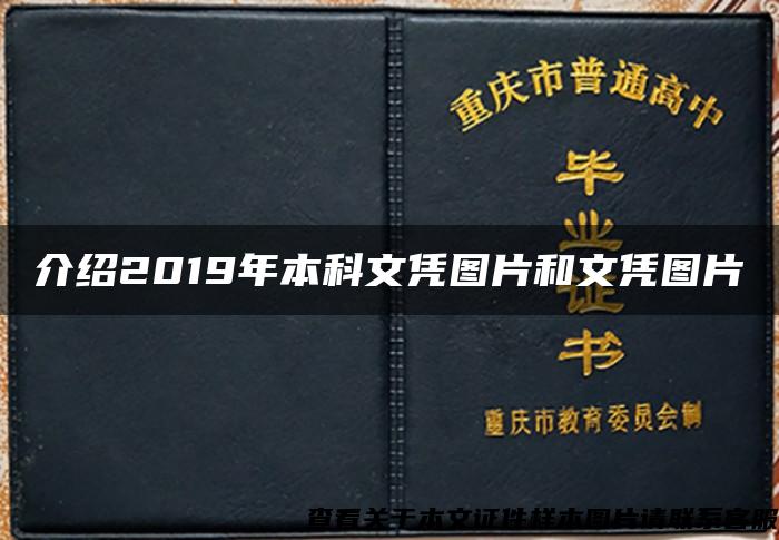 介绍2019年本科文凭图片和文凭图片