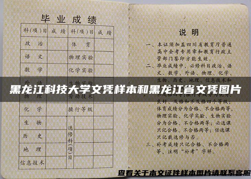 黑龙江科技大学文凭样本和黑龙江省文凭图片