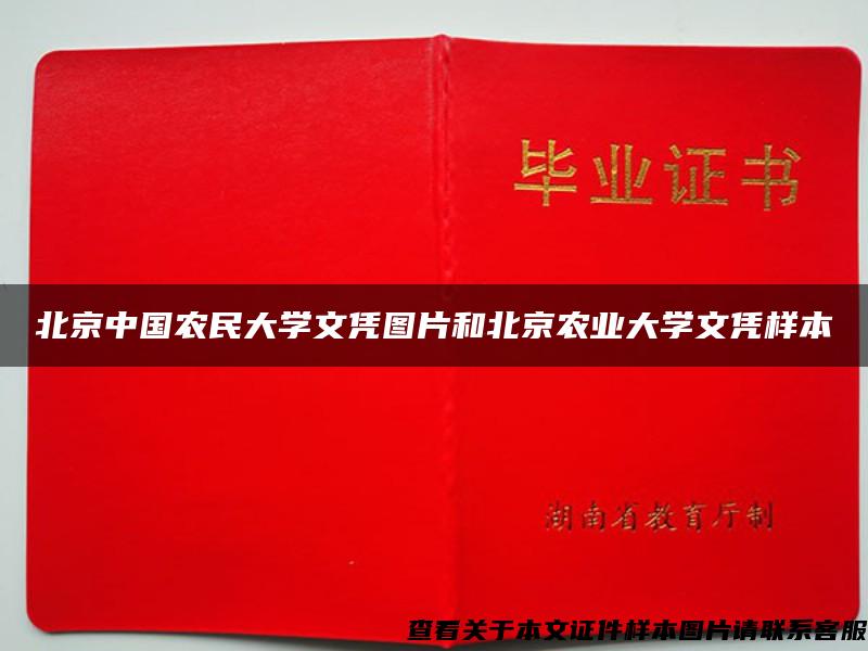 北京中国农民大学文凭图片和北京农业大学文凭样本