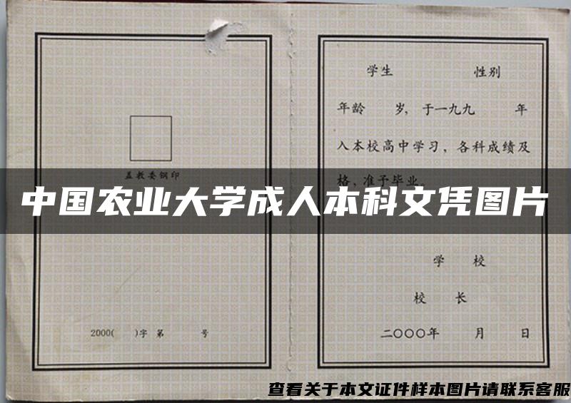 中国农业大学成人本科文凭图片