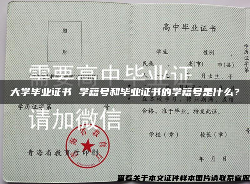 大学毕业证书 学籍号和毕业证书的学籍号是什么？