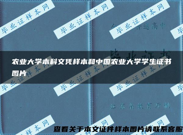 农业大学本科文凭样本和中国农业大学学生证书图片