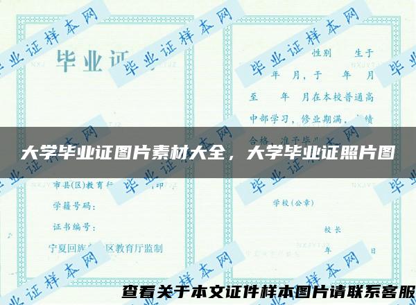 大学毕业证图片素材大全，大学毕业证照片图