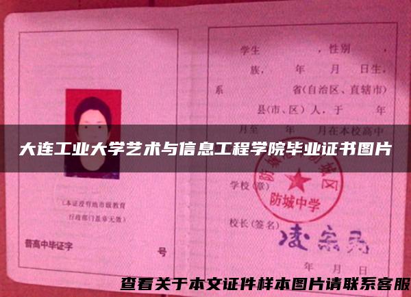 大连工业大学艺术与信息工程学院毕业证书图片