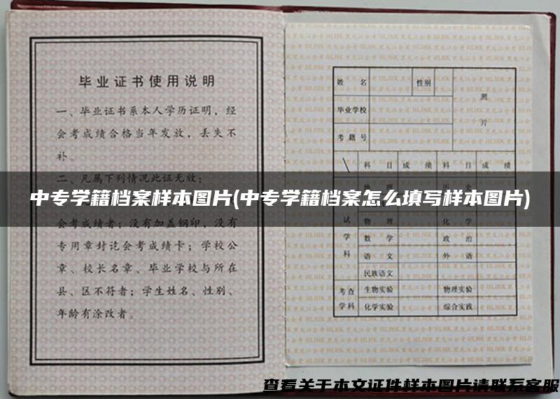 中专学籍档案样本图片(中专学籍档案怎么填写样本图片)