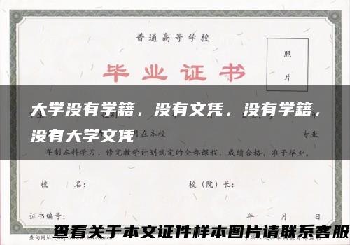 大学没有学籍，没有文凭，没有学籍，没有大学文凭