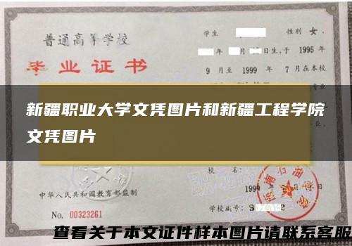 新疆职业大学文凭图片和新疆工程学院文凭图片