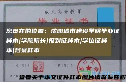 您现在的位置：沈阳城市建设学院毕业证样本|学院院长|报到证样本|学位证样本|档案样本