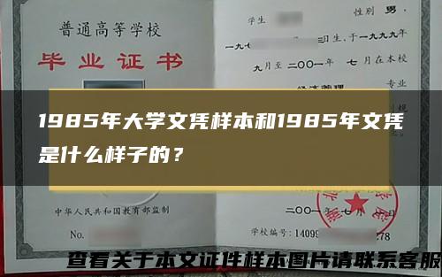 1985年大学文凭样本和1985年文凭是什么样子的？