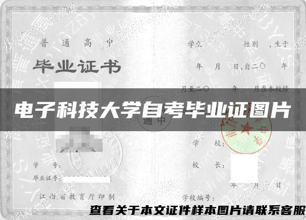 电子科技大学自考毕业证图片