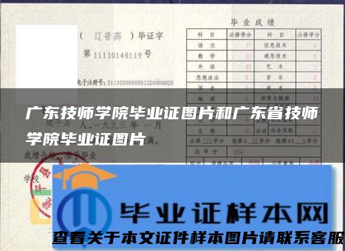 广东技师学院毕业证图片和广东省技师学院毕业证图片