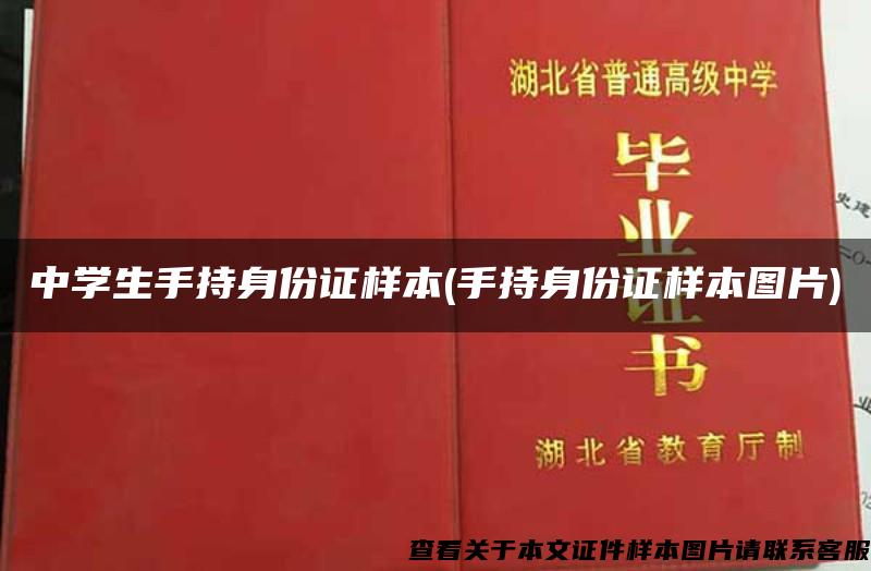 中学生手持身份证样本(手持身份证样本图片)