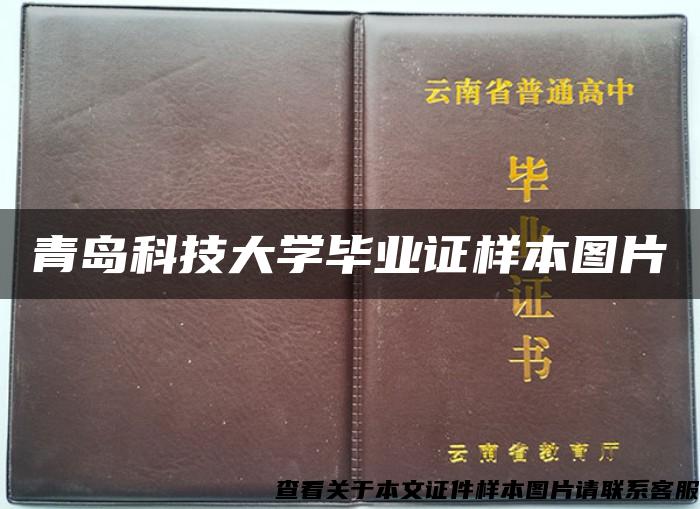 青岛科技大学毕业证样本图片