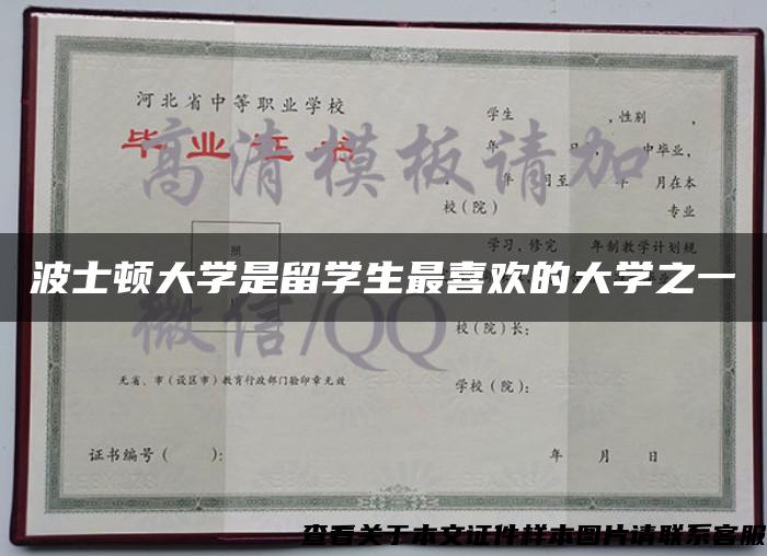 波士顿大学是留学生最喜欢的大学之一