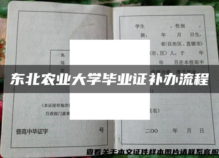 东北农业大学毕业证补办流程