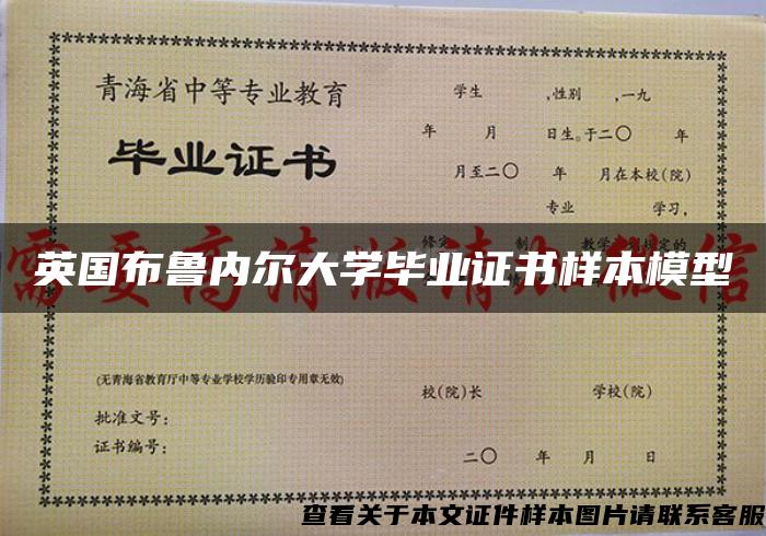 英国布鲁内尔大学毕业证书样本模型