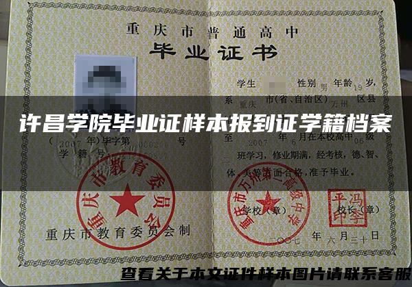 许昌学院毕业证样本报到证学籍档案