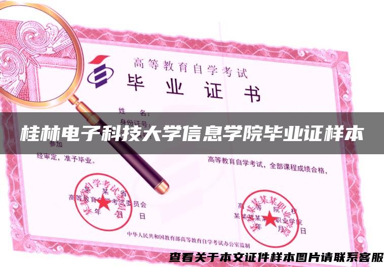 桂林电子科技大学信息学院毕业证样本