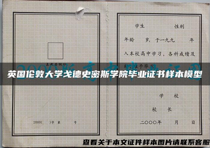 英国伦敦大学戈德史密斯学院毕业证书样本模型